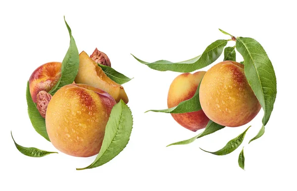 Pfirsiche Zwei Exklusive Collagen Mit Fliegenden Pfirsichen Hochauflösendes Bild — Stockfoto