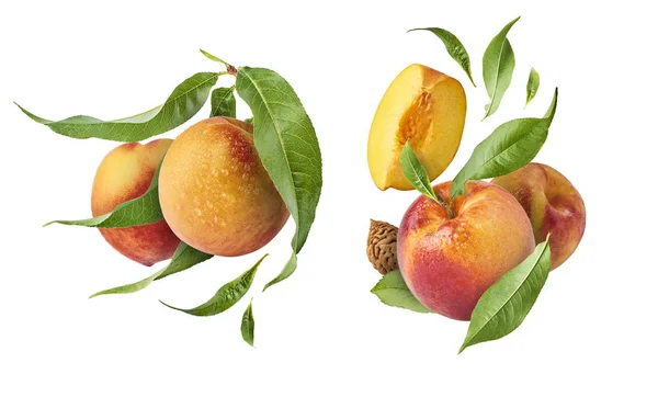 Pfirsiche Zwei Exklusive Collagen Mit Fliegenden Pfirsichen Hochauflösendes Bild — Stockfoto
