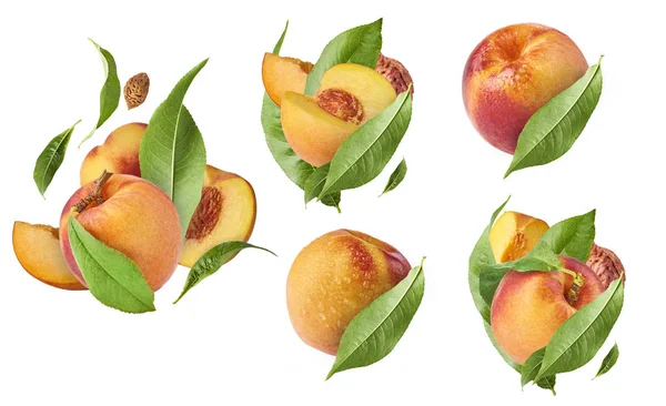 Набор Персиками Пять Эксклюзивных Коллажей Летающими Персиками Изображение Высокого Разрешения — стоковое фото