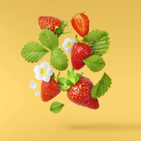 Flying Fresh tasty ripe strawberry with green leaves at yellow background.  Food levitation concept. Creative food layout, High resolution image