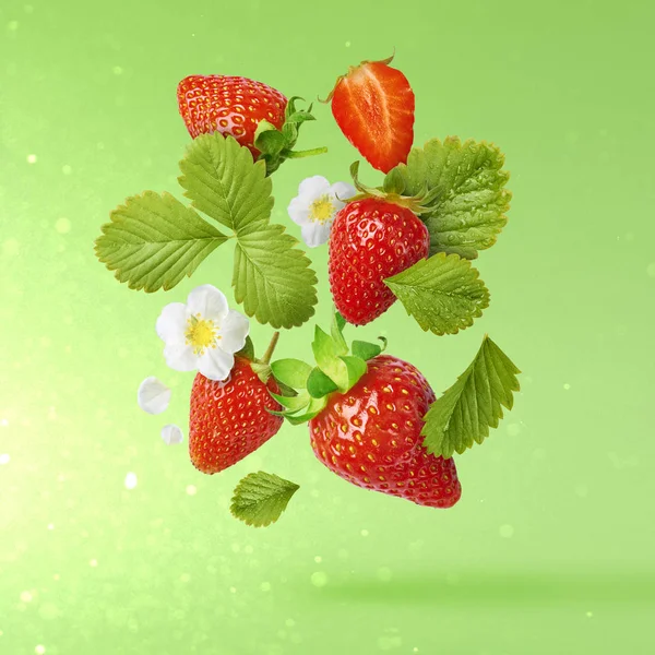 Flying Fresh tasty ripe strawberry with green leaves at light green background.  Food levitation concept. Creative food layout, High resolution image