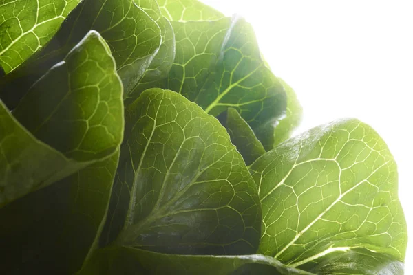 Nahaufnahme Von Frischen Grünen Salatblättern Mit Wassertropfen Isoliert Auf Weißem — Stockfoto