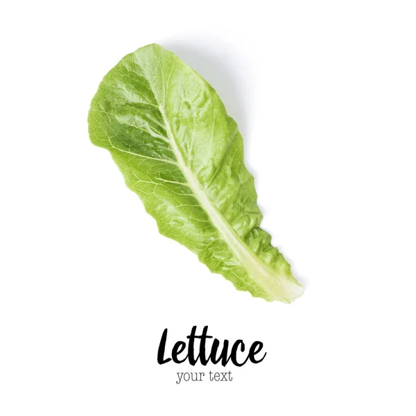 Frische Grüne Salatblätter Isoliert Auf Weißem Hintergrund Hohe Auflösung Kann — Stockfoto