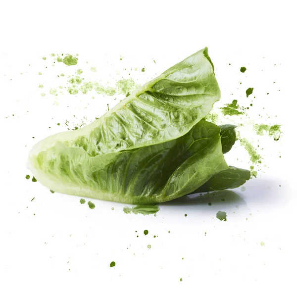 Frische Grüne Salatblätter Mit Aquarellgrünem Spritzer Isoliert Auf Weißem Hintergrund — Stockfoto