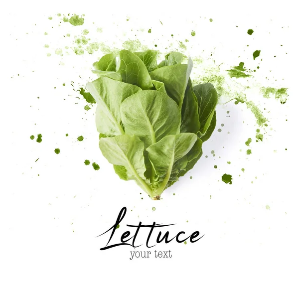 Fresh Green Lettuce Leaves Watercolor Green Splash Isolated White Background — Stock Photo, Image