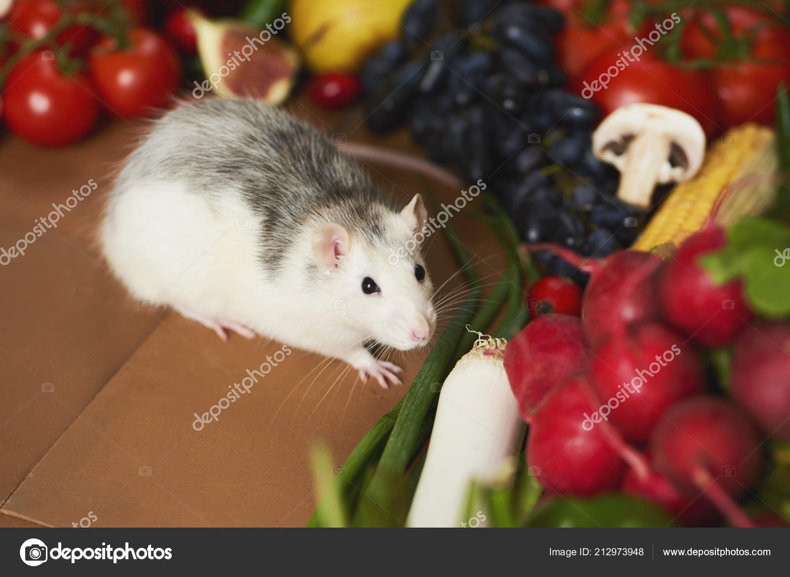 Decorative Cute Rat Raw Vegetables — Stock Photo © AgaveStudio 212973948