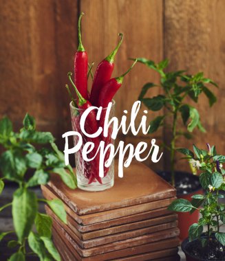 Taze kırmızı sıcak biber biber cam