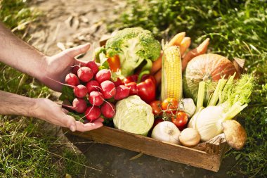 Tahta kutuda taze sebzeler..