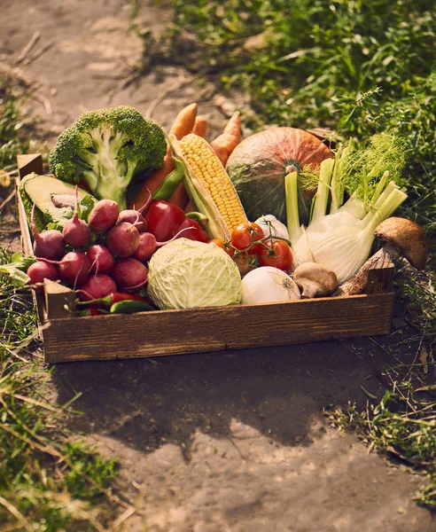 Verdure Fresche Scatola Legno Vicino — Foto Stock