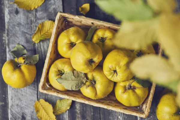 Beaucoup Coing Pomme Sur Fond Bois Foncé — Photo