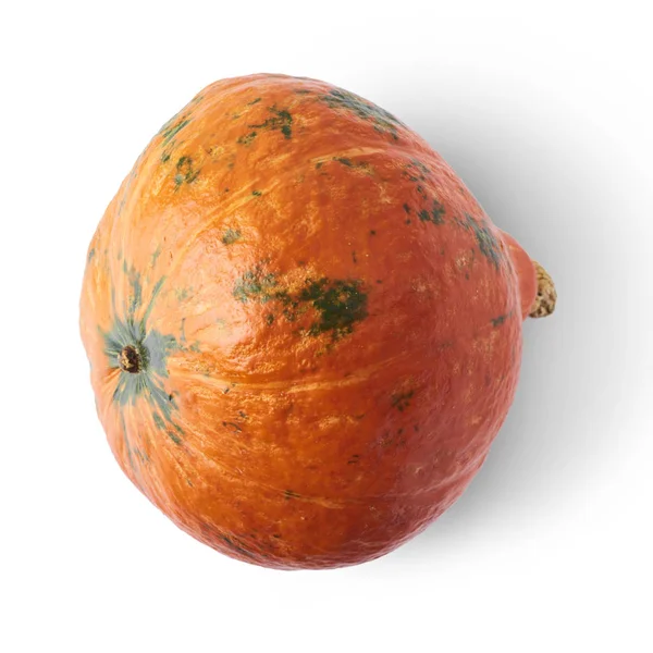 Čerstvé Bio Oranžové Dýně Izolovaných Bílém Pozadí — Stock fotografie