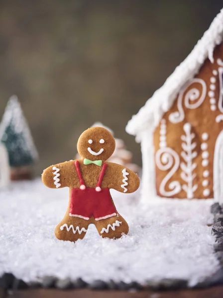 Homemade gingerbread house. Christmas concept.
