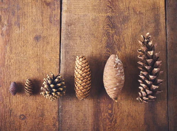 Set Con Diferentes Tipos Conos Pino Sobre Fondo Madera — Foto de Stock