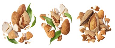Taze çiğ badem ile ayarlayın. Havada beyaz arka plan üzerinde izole taze çiğ bütün ve kesme badem uçan. Badem kavramı adet yakın çekim için yırtılmış. Yüksek çözünürlüklü görüntü