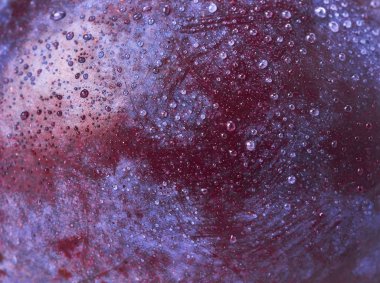 Taze erik ile yaratıcı görüntü