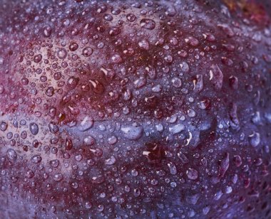 Taze erik ile yaratıcı görüntü