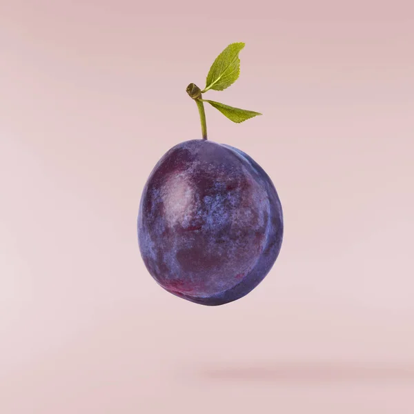 Image créative avec prune fraîche — Photo