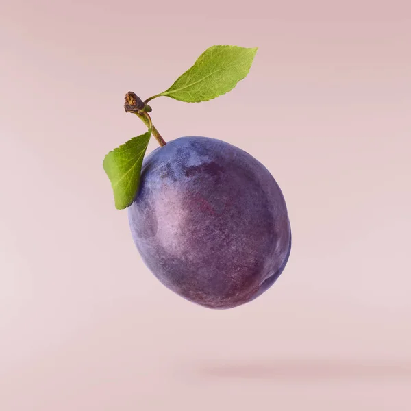 Image créative avec prune fraîche — Photo