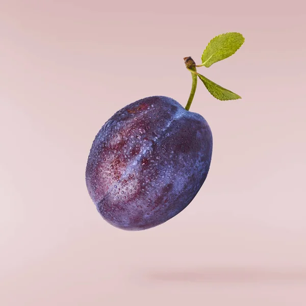 Image créative avec prune fraîche — Photo