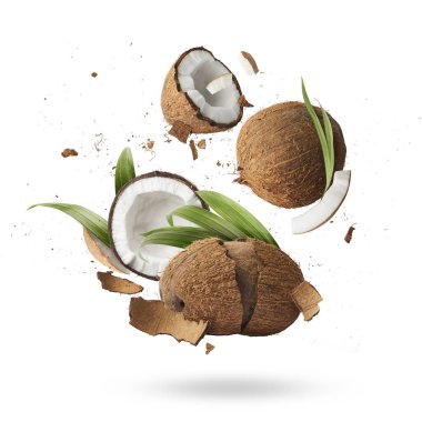 Fresh ripe coconuts isolated on white background  clipart