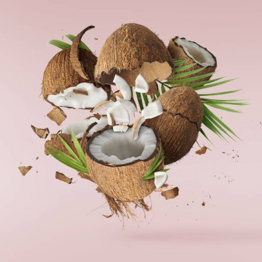 Fresh ripe coconut isolated 