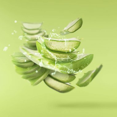 aloe vera beyaz arkaplanda izole