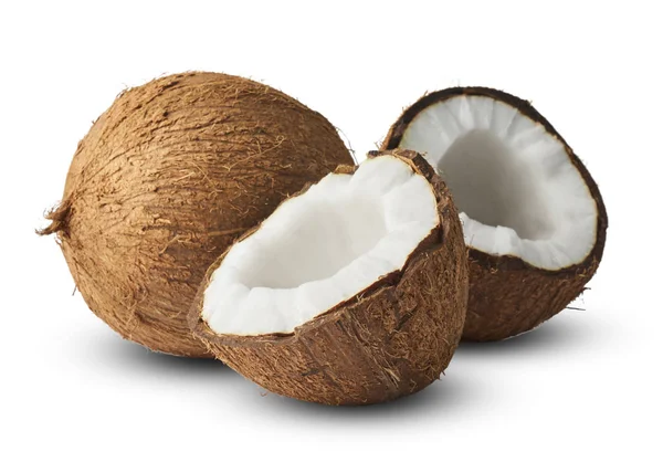 Färsk mogen kokosnöt isolerad på vit bakgrund — Stockfoto