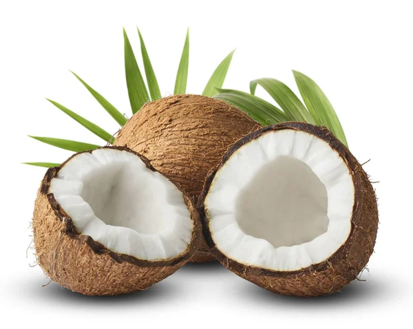 Verse Rijpe Kokosnoten Geïsoleerd Witte Achtergrond — Stockfoto