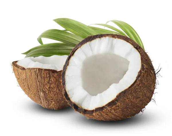 Cocco fresco maturo isolato su fondo bianco — Foto Stock