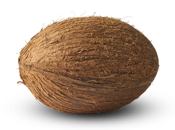 孤立在白色背景上的新鲜成熟椰子 — 图库照片