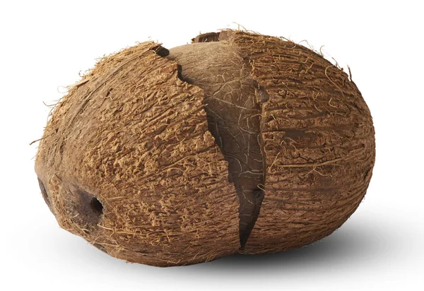 孤立在白色背景上的新鲜成熟椰子 — 图库照片