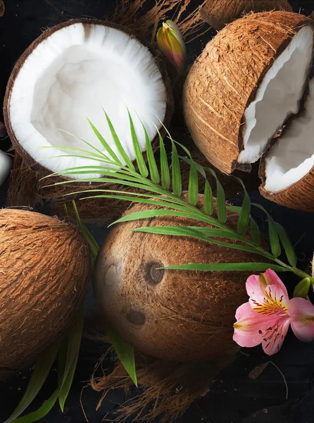 Verse rijpe kokosnoot op donkere marmeren achtergrond — Stockfoto