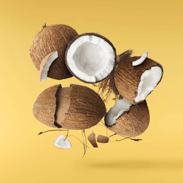 Fresh ripe coconut isolated — Stock Photo, Image