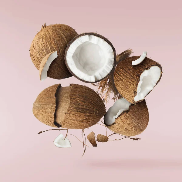 Coco fresco maduro isolado — Fotografia de Stock
