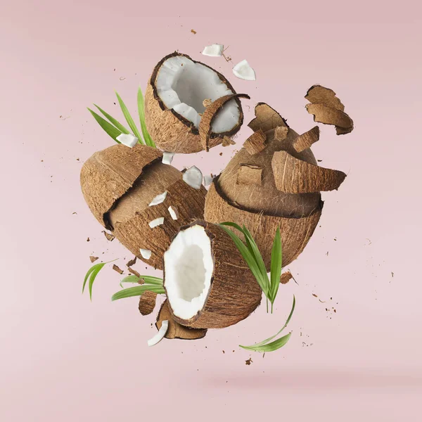 Свежий спелый кокос изолирован — стоковое фото