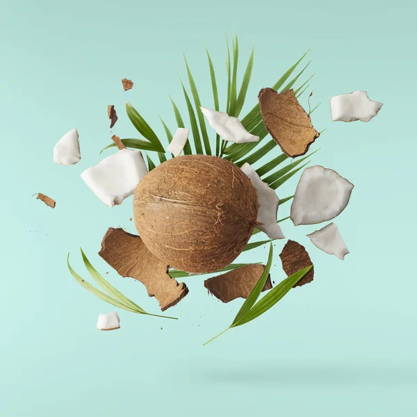 Świeży dojrzały kokos na białym tle — Zdjęcie stockowe