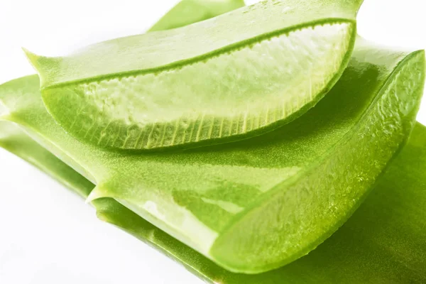 Aloe vera απομονωμένη σε λευκό φόντο — Φωτογραφία Αρχείου