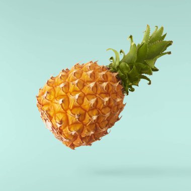 Havada uçan taze olgun bütün ve dilim ile bebek Ananas kesilmiş