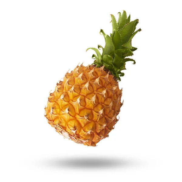 Flying in air fresh ripe whole and cut baby Pineapple with slice — Stock Photo, Image