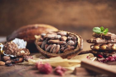 Organik ev yapımı çikolata ve kakao arıları