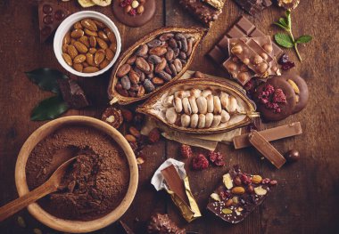 Organik ev yapımı çikolata ve kakao arıları
