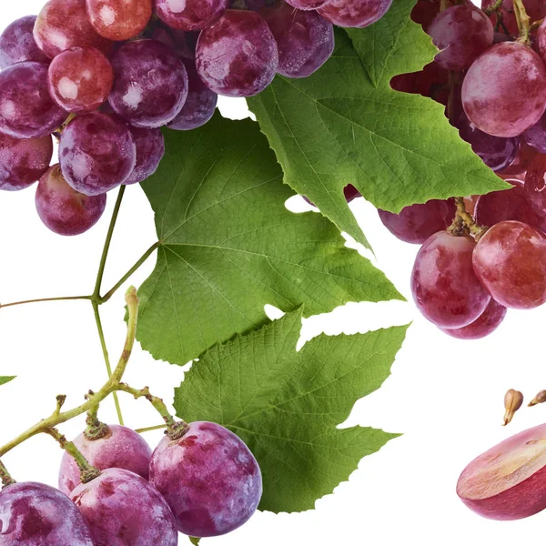 Fresh ripe raw tasty grape — Stock Photo, Image