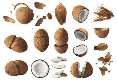 Beyaz arka planda izole palmiye yaprakları ile taze ham Hindistan cevizi ile ayarlayın. Yüksek çözünürlüklü görüntü