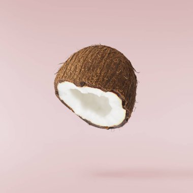 Pembe arka planda izole taze olgun Hindistan cevizi