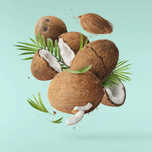 Fliegen in der Luft frische reife ganze und geknackte Kokosnuss mit Palmlea — Stockfoto