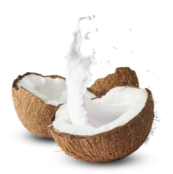 Coco fresco maduro isolado sobre fundo branco — Fotografia de Stock