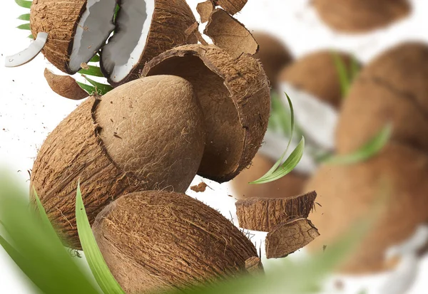 Fresh ripe coconut isolated on white background — Stock Photo, Image