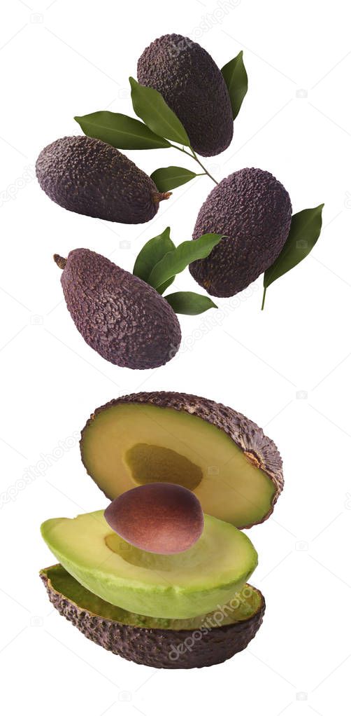 Creative collection set with Fresh ripe avocado with leaves falling in the air. Cut and whole avocado isolated on yellow background