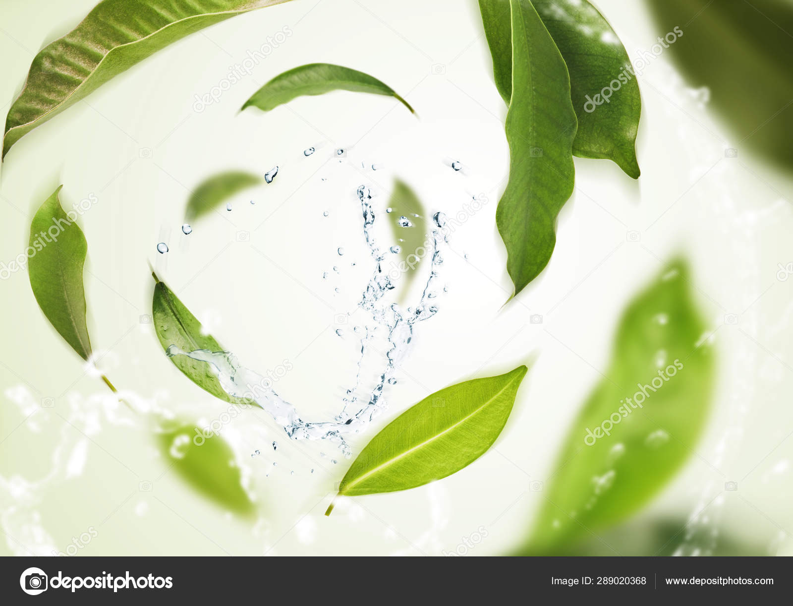 Vividly Flying In The Air Green Tea Leaves Isolated On White Bac Stock Photo Image By C Agavestudio 289020368