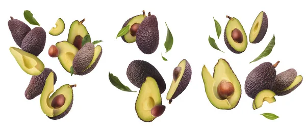 Kreatives Kollektionsset mit frischen reifen Avocado mit Blättern im Herbst — Stockfoto